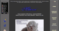 Desktop Screenshot of muezzi.pl