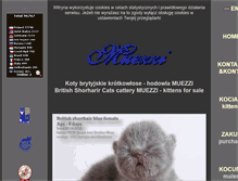 Tablet Screenshot of muezzi.pl